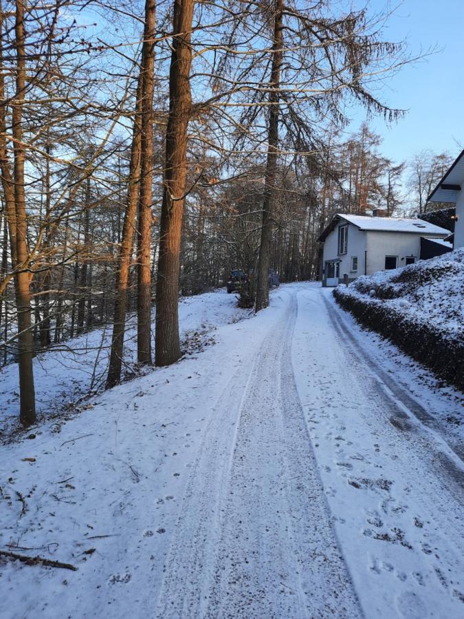 La Pinede - Charmante Maison De Village 霍顿 外观 照片